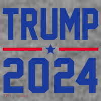 Trump 2024 Political Republican Toddler Hoodie thumb 2
