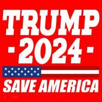 Trump 2024 Save America T-Shirt thumb 7