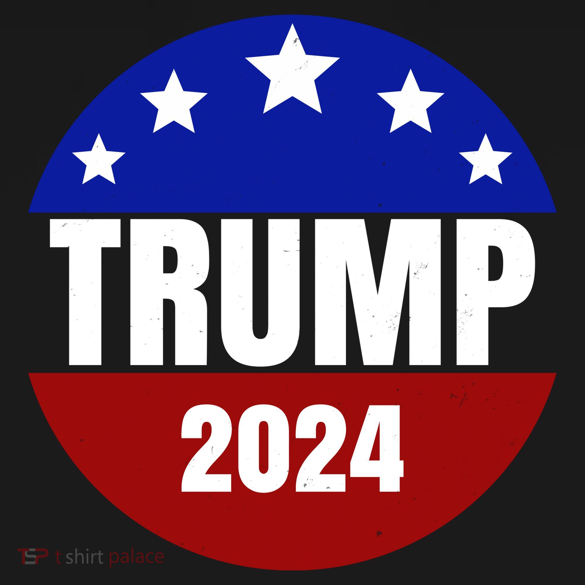 Trump 2024 Star Logo Toddler Hoodie