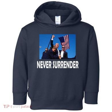 Trump 2024 Toddler Hoodie