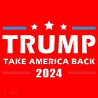 Trump 2024 Take America Back Election Patriotic Second Term Kids Sweatshirt thumb 2