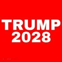 TRUMP 2028 Toddler Hoodie thumb 2