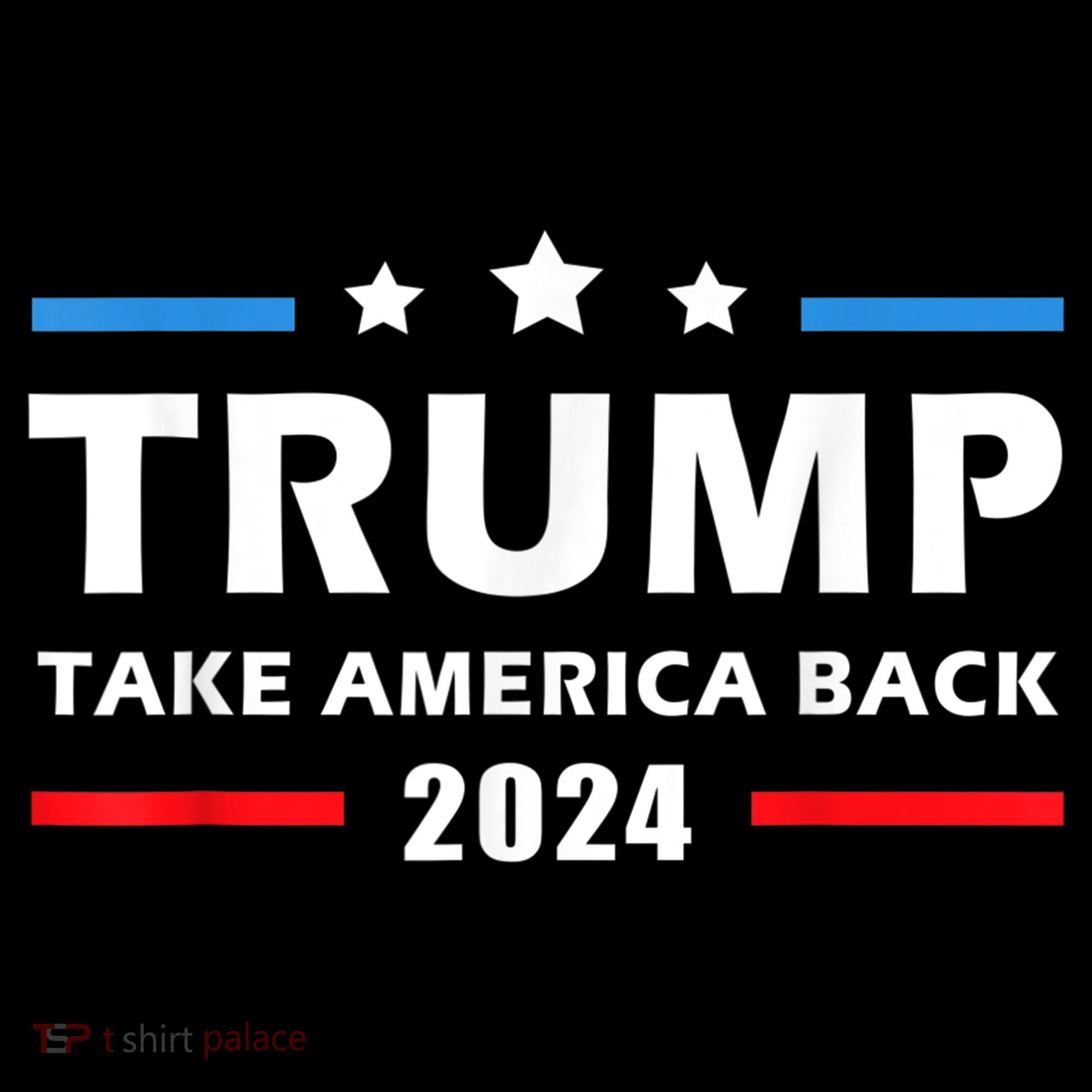 Trump 2024 Take America Back Election Patriotic Second Term Women's Hoodie