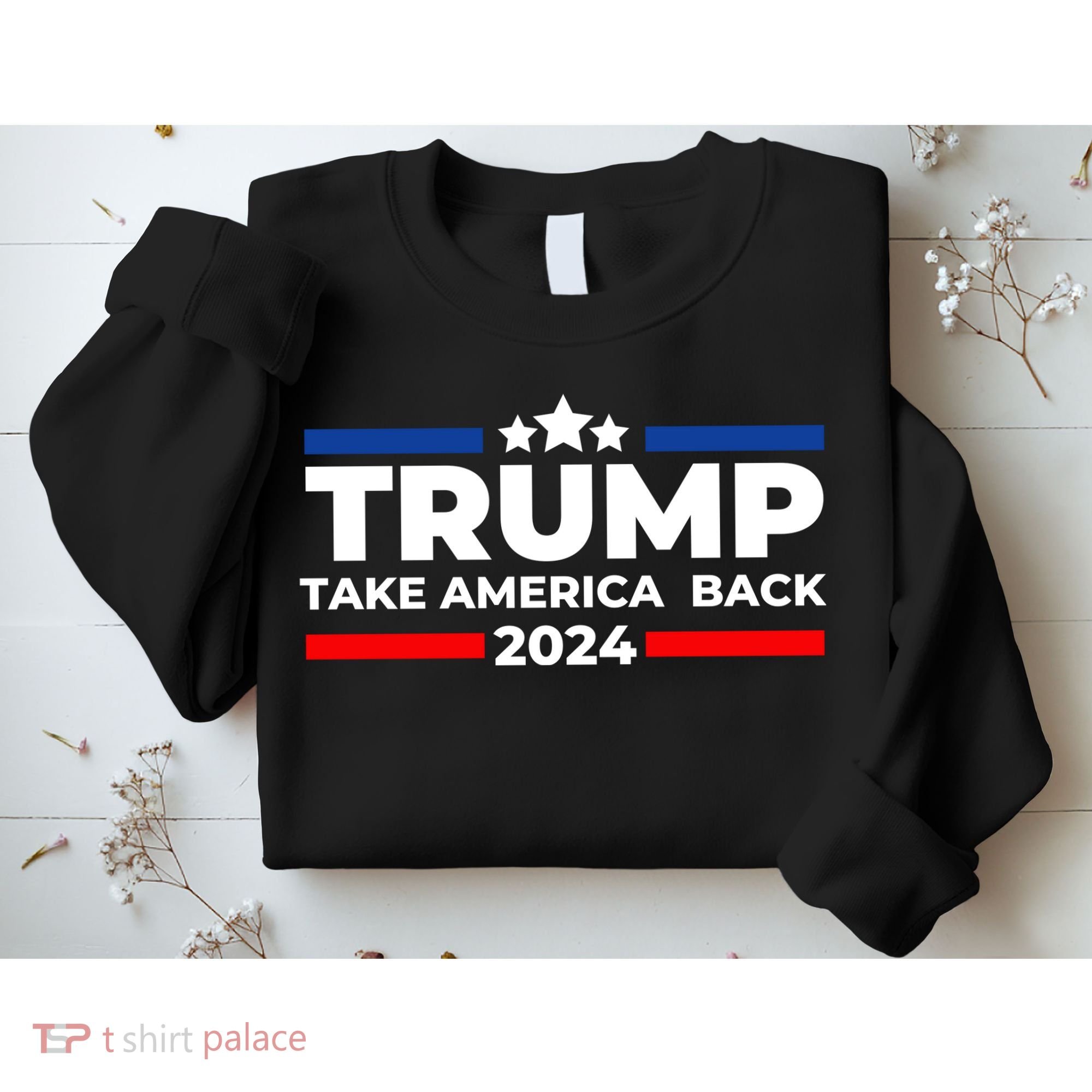 Trump 2024 Take Back America Sweatshirt