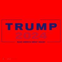 Trump 2024 Take America Back Santa Hat thumb 1