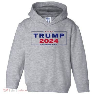 Trump 2024 Take America Back Toddler Hoodie