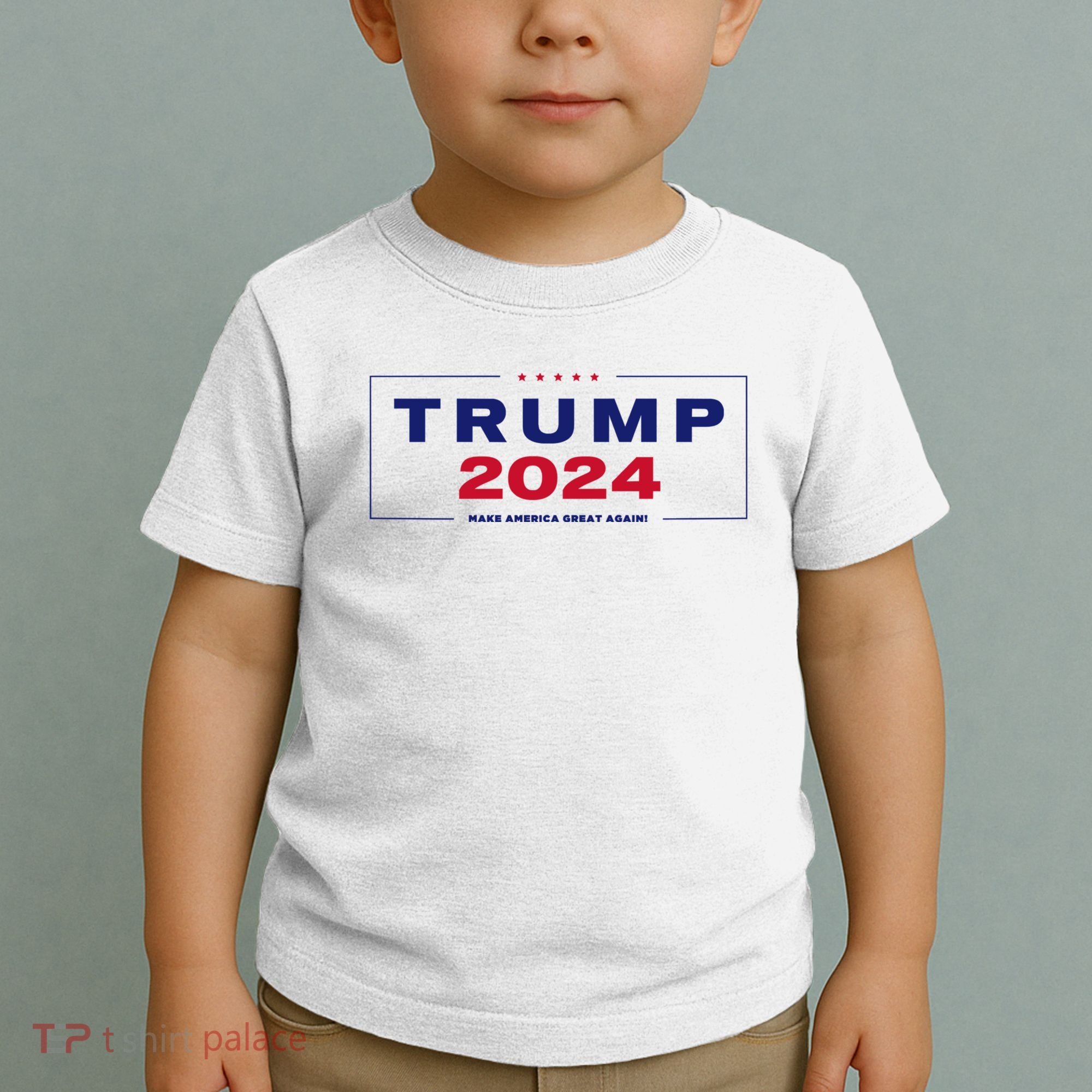 Trump 2024 Take America Back Toddler T-Shirt