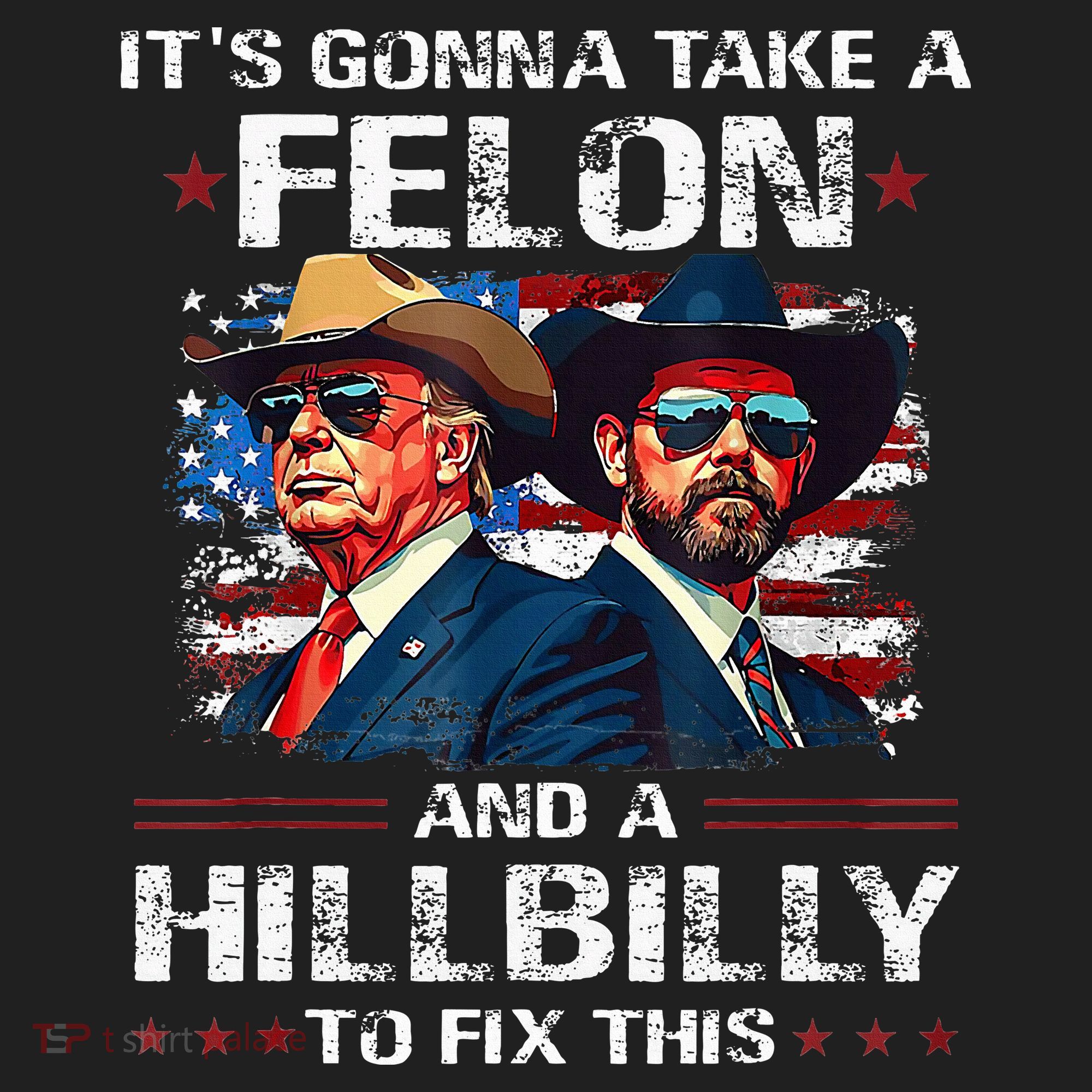 Trump 2024 Vance 2028 Funny Felon Hillbilly Fix Beanie