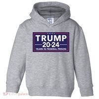 Trump 2024 Years In Federal Prison Toddler Hoodie thumb 0