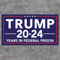 Trump 2024 Years In Federal Prison Toddler Hoodie thumb 2