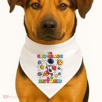To 3rd Grade And Beyond Third Grade Astronaut Back To School USA-Made Doggie Bandana thumb 1