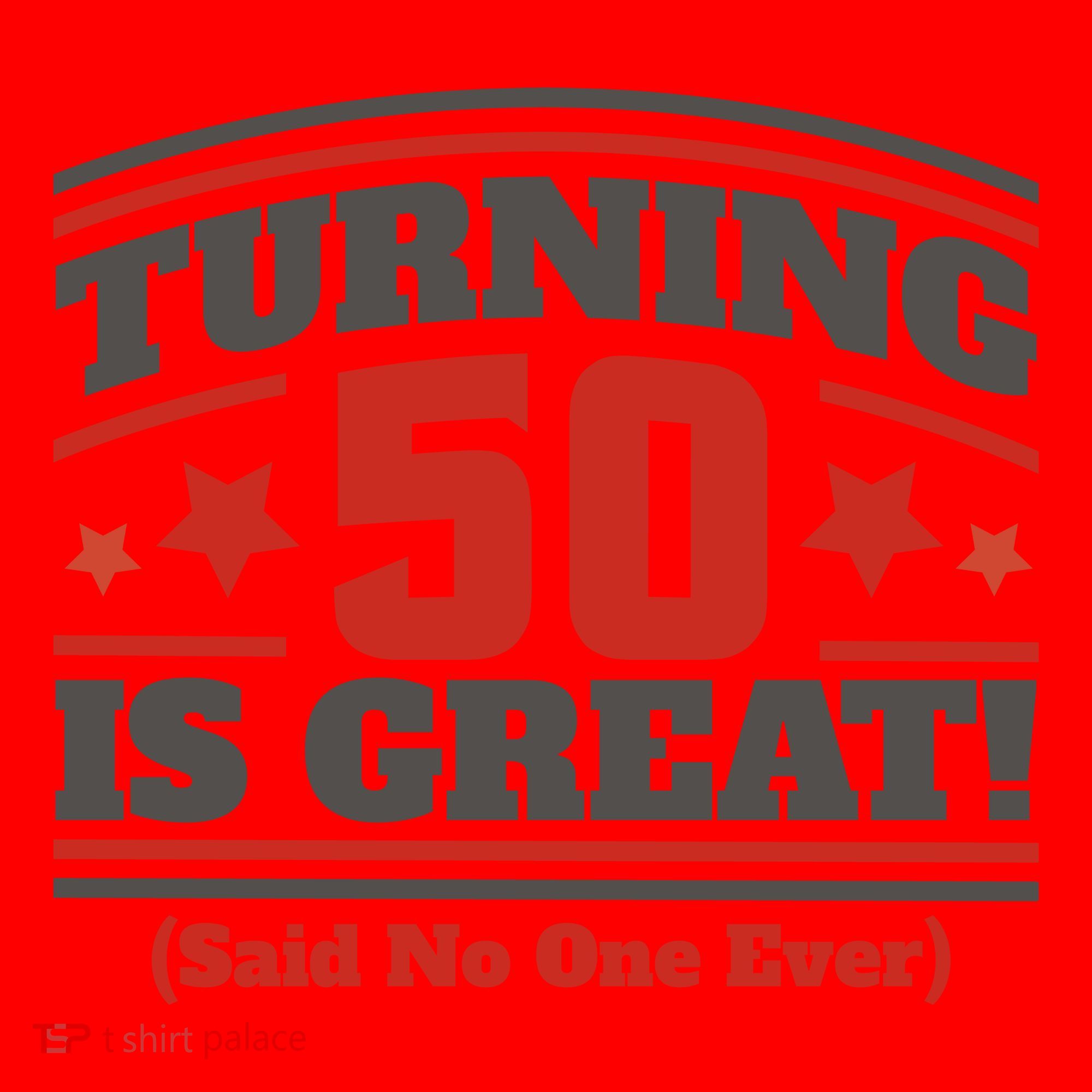 Turning 50 Is Great Funny Santa Hat