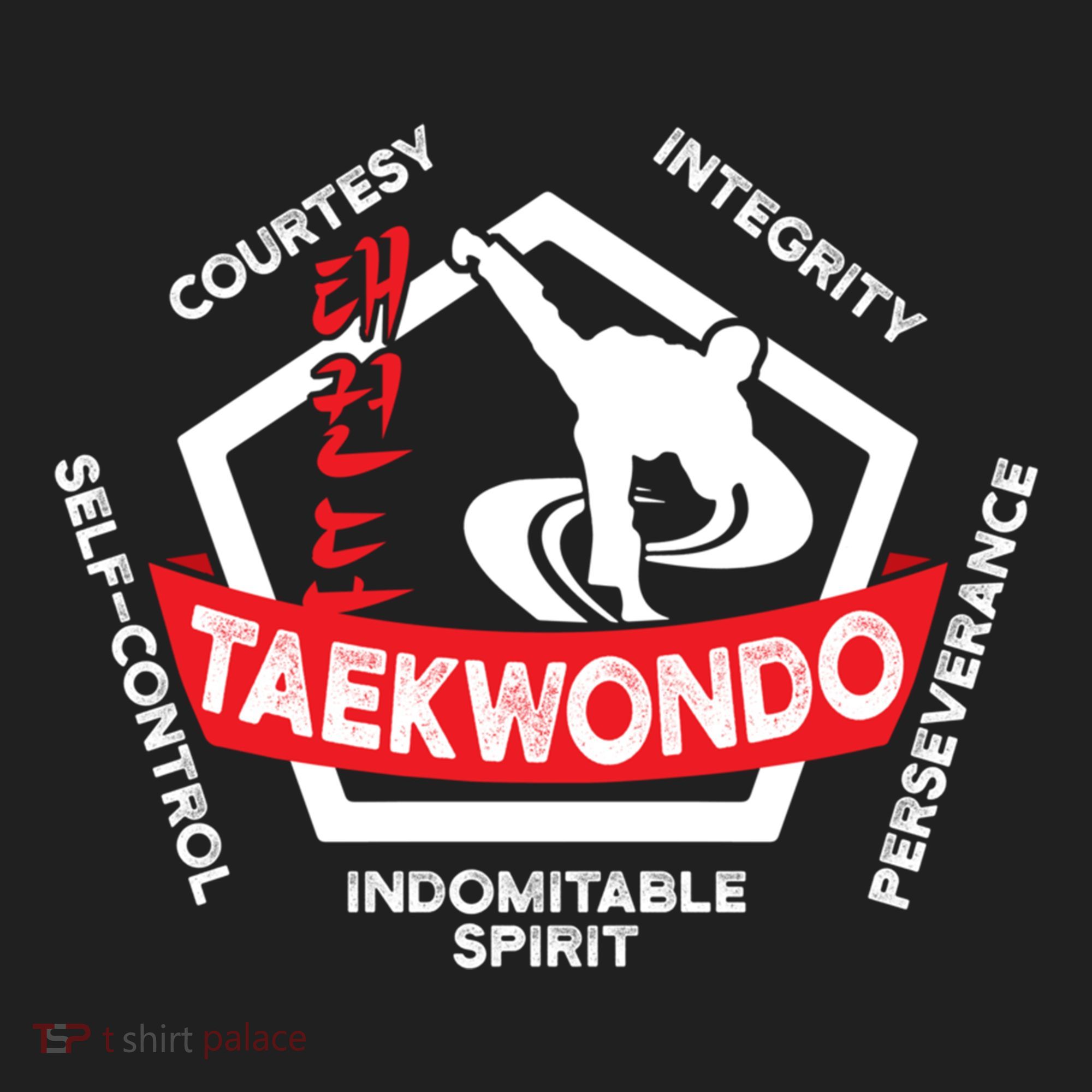 Taekwondo 5 Tenets Martial Arts Ata Itf Tae Kwon Do Gift Beanie