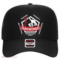 Taekwondo 5 Tenets Martial Arts Ata Itf Tae Kwon Do Gift Hat thumb 0