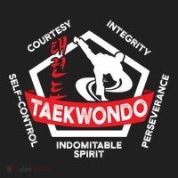 Taekwondo 5 Tenets Martial Arts Ata Itf Tae Kwon Do Gift Hat thumb 2