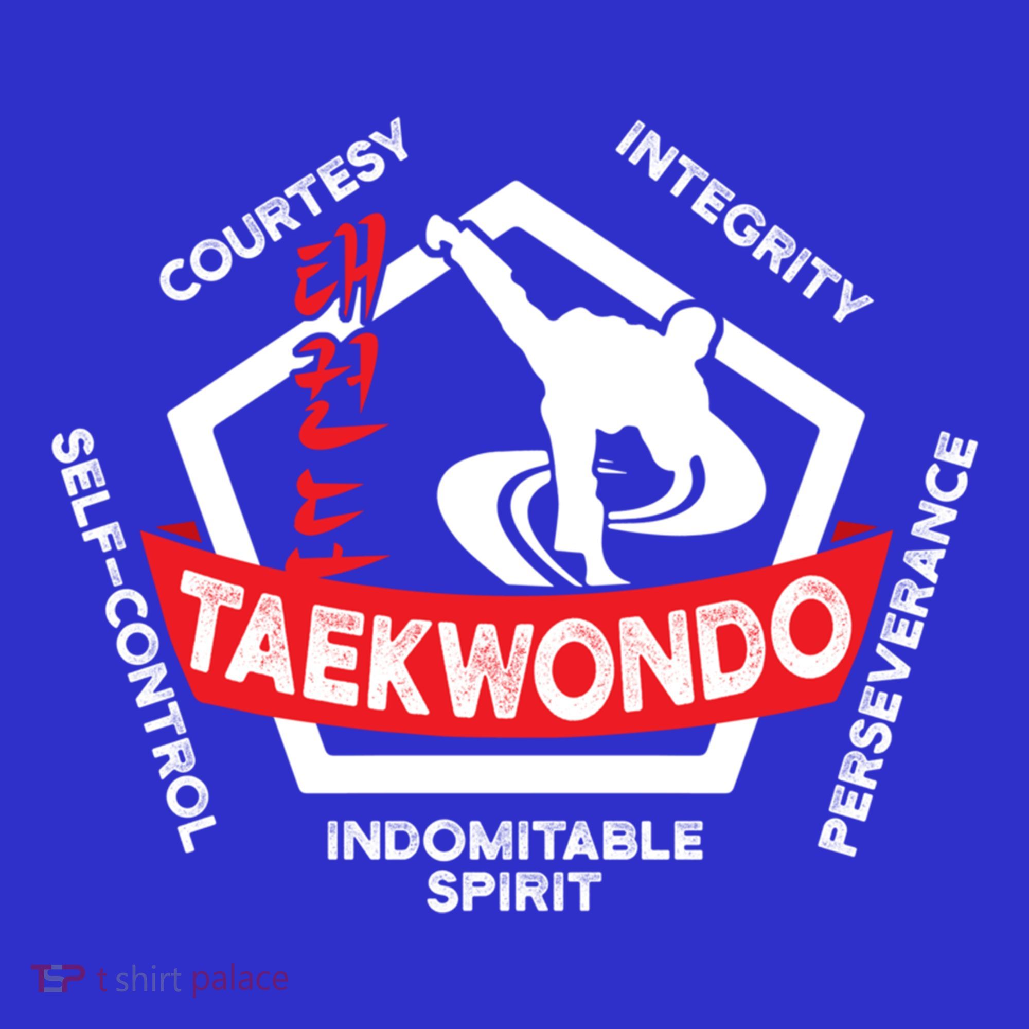 Taekwondo 5 Tenets Martial Arts Ata Itf Tae Kwon Do Gift Women's Long Sleeve Shirt