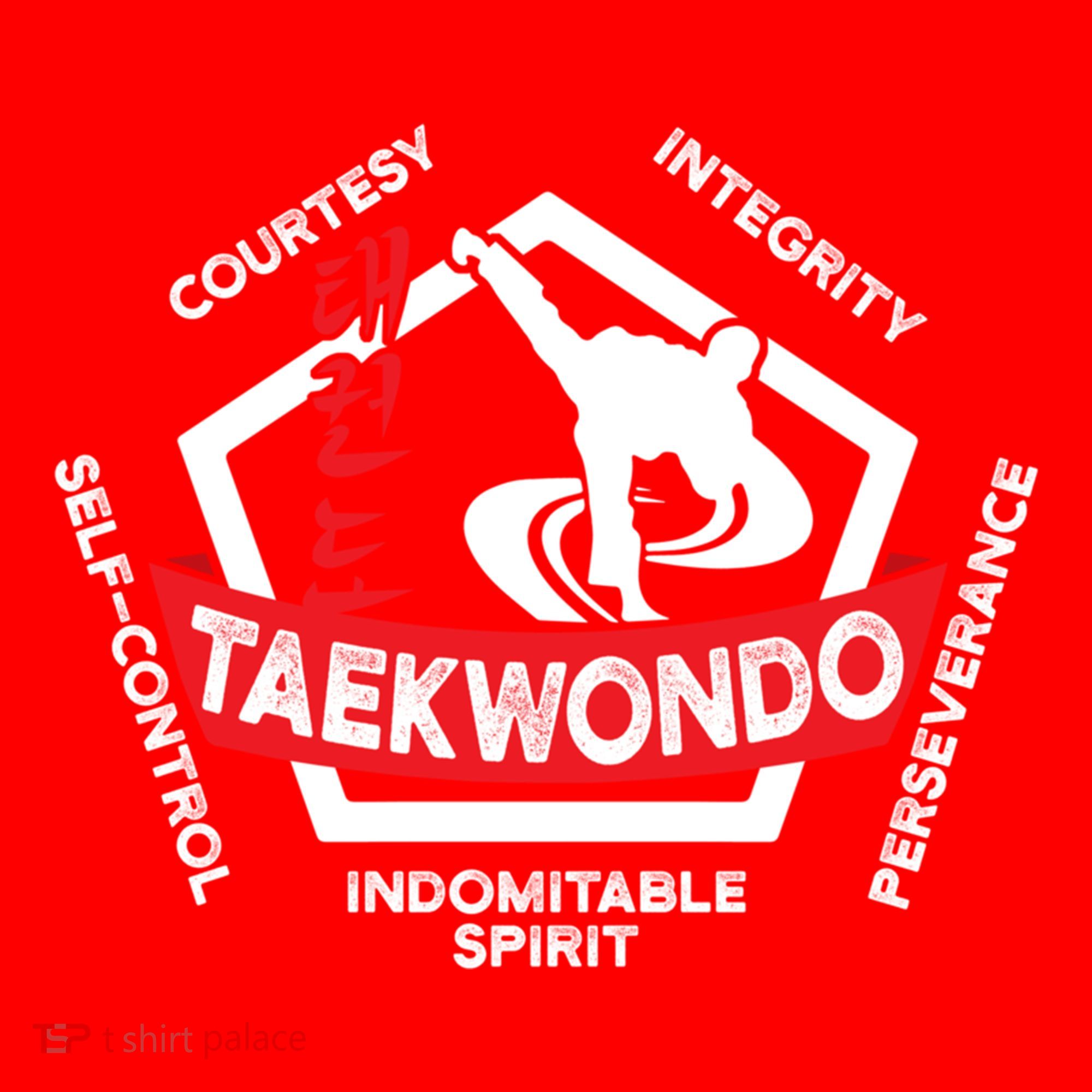 Taekwondo 5 Tenets Martial Arts Ata Itf Tae Kwon Do Gift Santa Hat