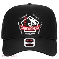 Taekwondo 5 Tenets Martial Arts Ata Itf Tae Kwon Do Gift Funny Gift Hat thumb 0
