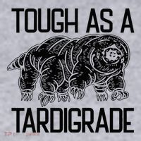 Tough As A Tardigrade Water Bear Tough As A Tardigrade Women's Sweatshirt thumb 2