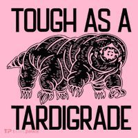 Tough As A Tardigrade Water Bear Tough As A Tardigrade Coaster thumb 2