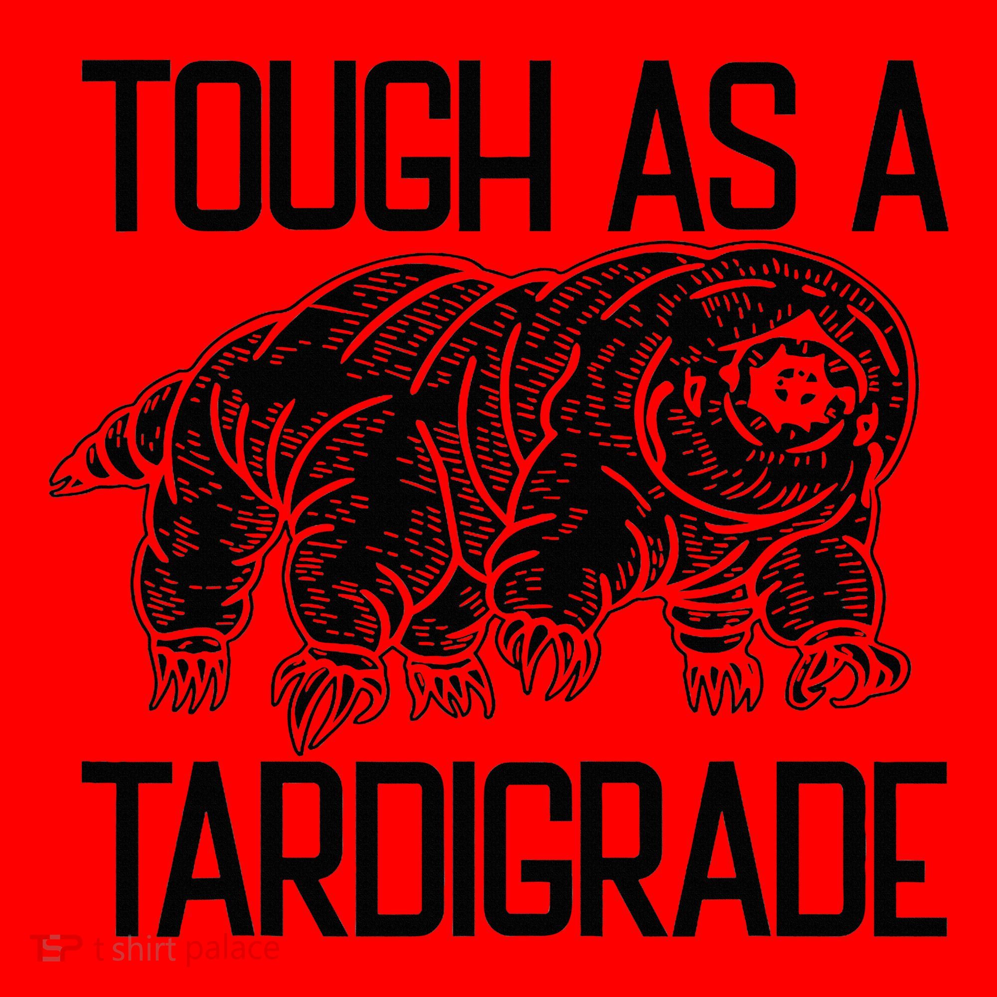 Tough As A Tardigrade Water Bear Tough As A Tardigrade Santa Hat