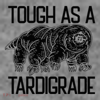 Tough As A Tardigrade Water Bear Tough As A Tardigrade Toddler Hoodie thumb 2