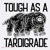 Tough As A Tardigrade Water Bear Tough As A Tardigrade Women's Hoodie thumb 2