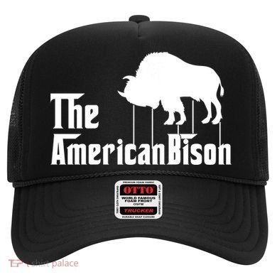 The American Bison Hat