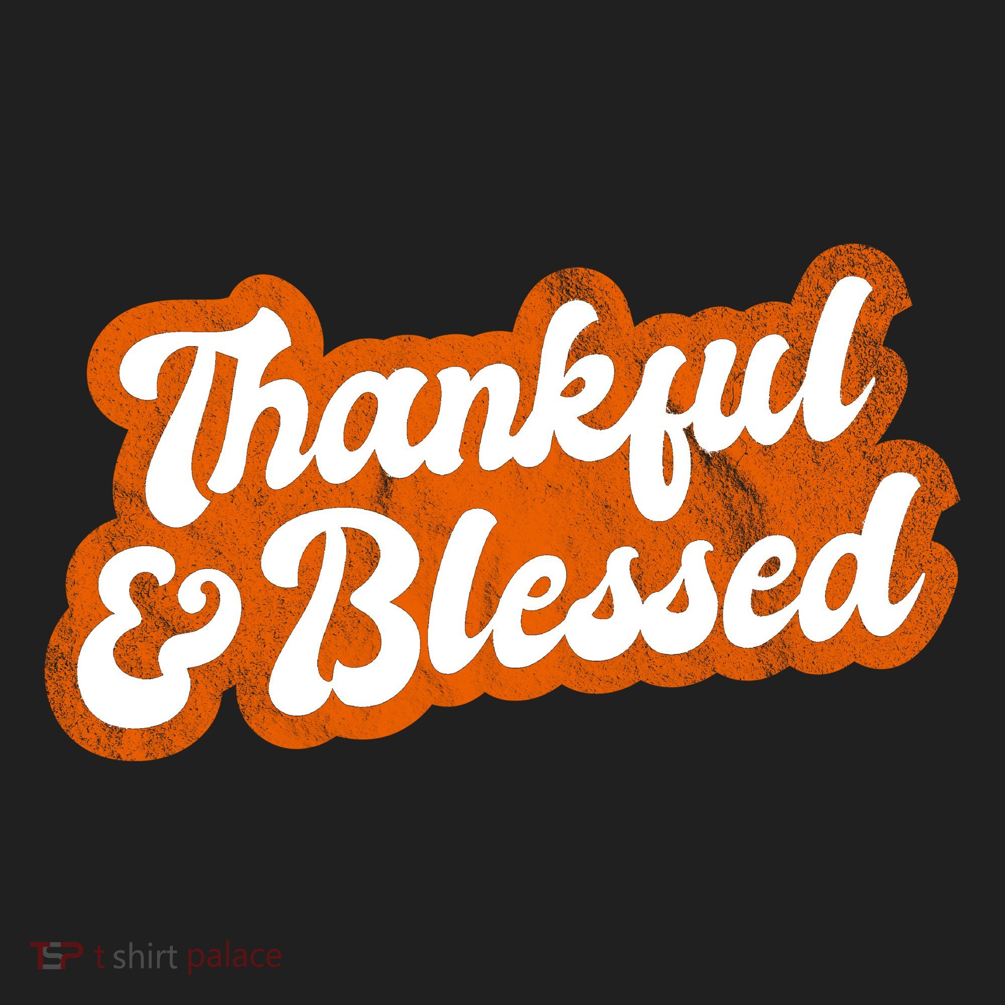 Thankful And Blessed Retro Distressed Logo Hat