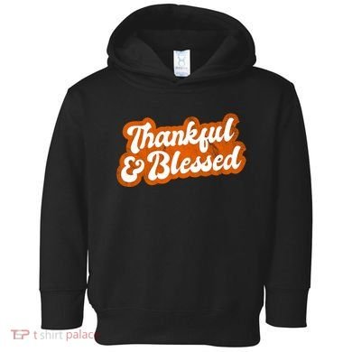 Thankful And Blessed Retro Distressed Logo Toddler Hoodie