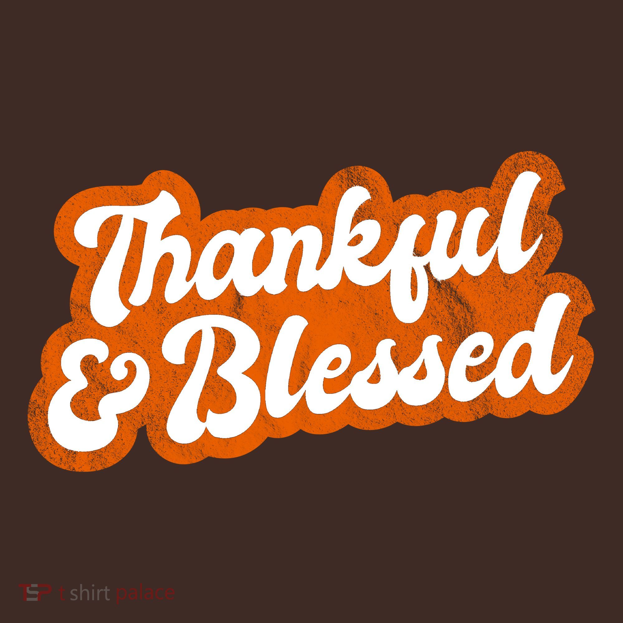 Thankful And Blessed Retro Distressed Logo Beanie