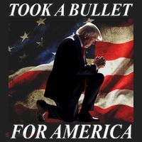 Took A Bullet For America Donald Trump Usa Hat thumb 2