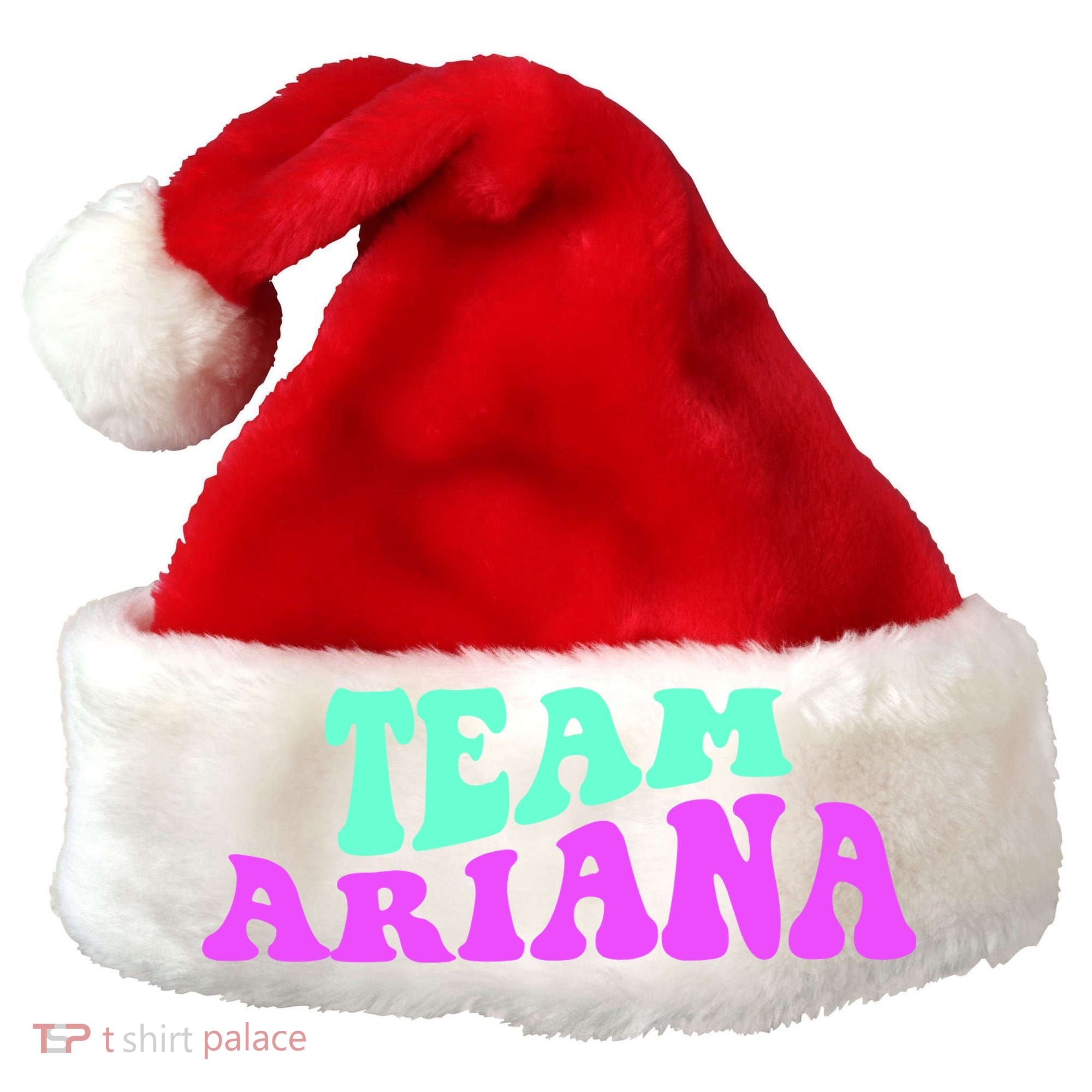 Team Ariana Cheer For Ariana, Show Support Be On Santa Hat