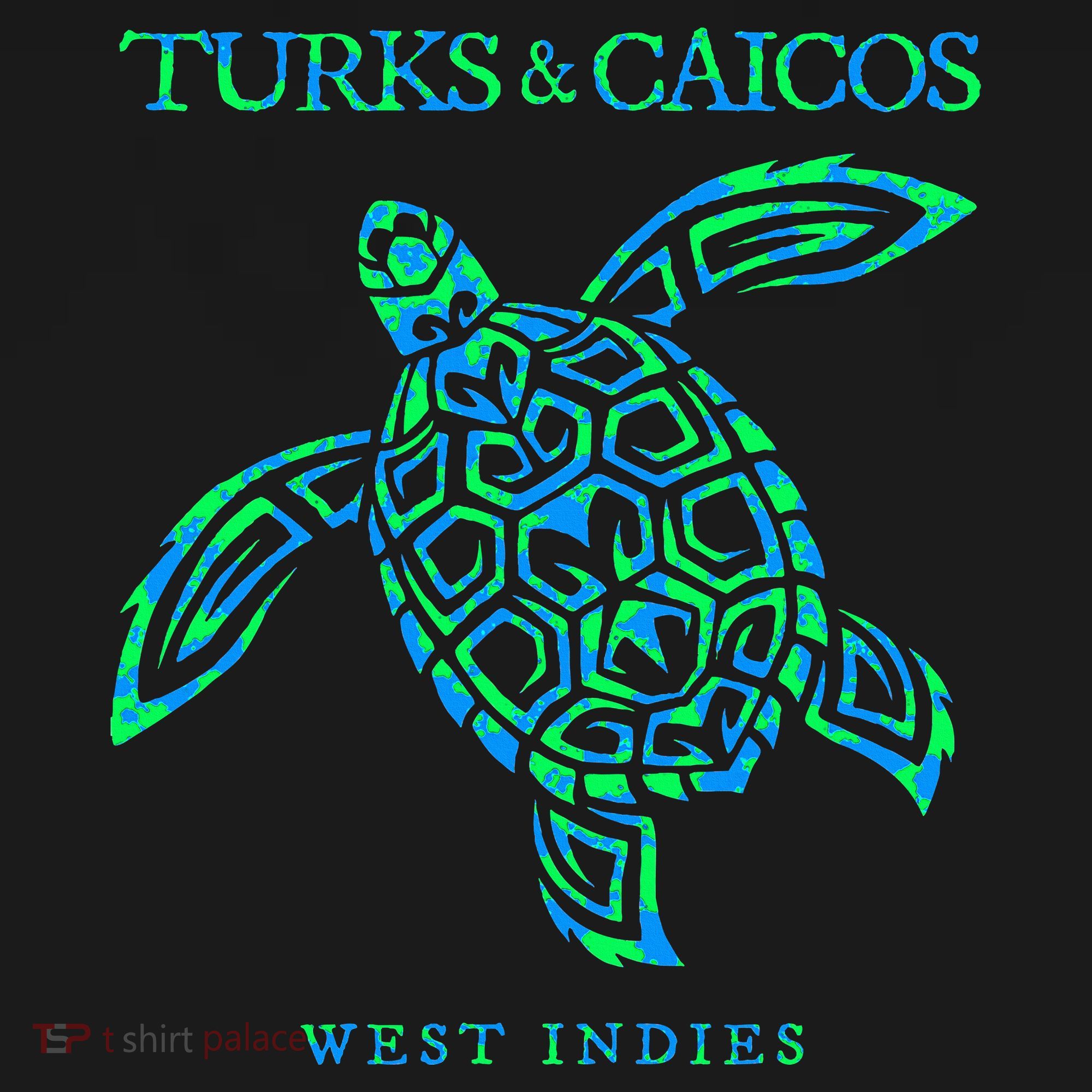 Turks And Caicos Islands Sea Turtle Souvenir Sweatshirt