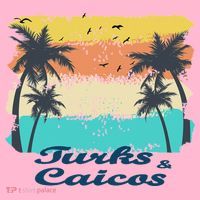 Turks And Caicos Palms Beach Caribbean Islands Souvenir Gift Coaster thumb 2