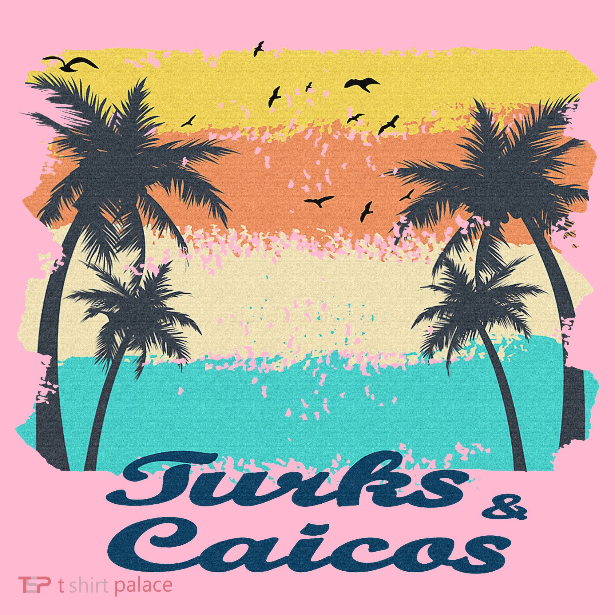 Turks And Caicos Palms Beach Caribbean Islands Souvenir Gift Coaster