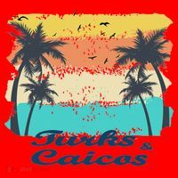 Turks And Caicos Palms Beach Caribbean Islands Souvenir Gift Santa Hat thumb 1