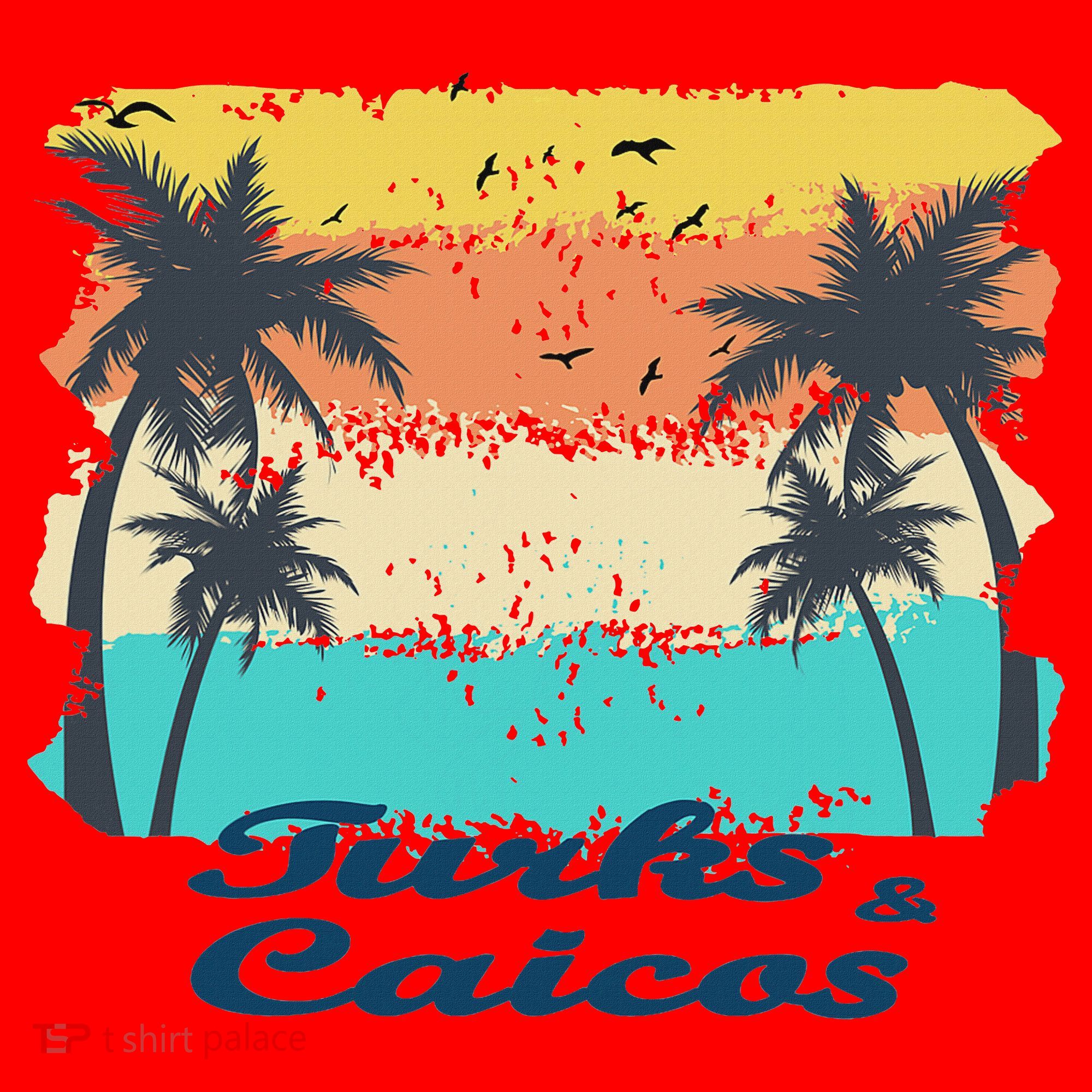 Turks And Caicos Palms Beach Caribbean Islands Souvenir Gift Santa Hat