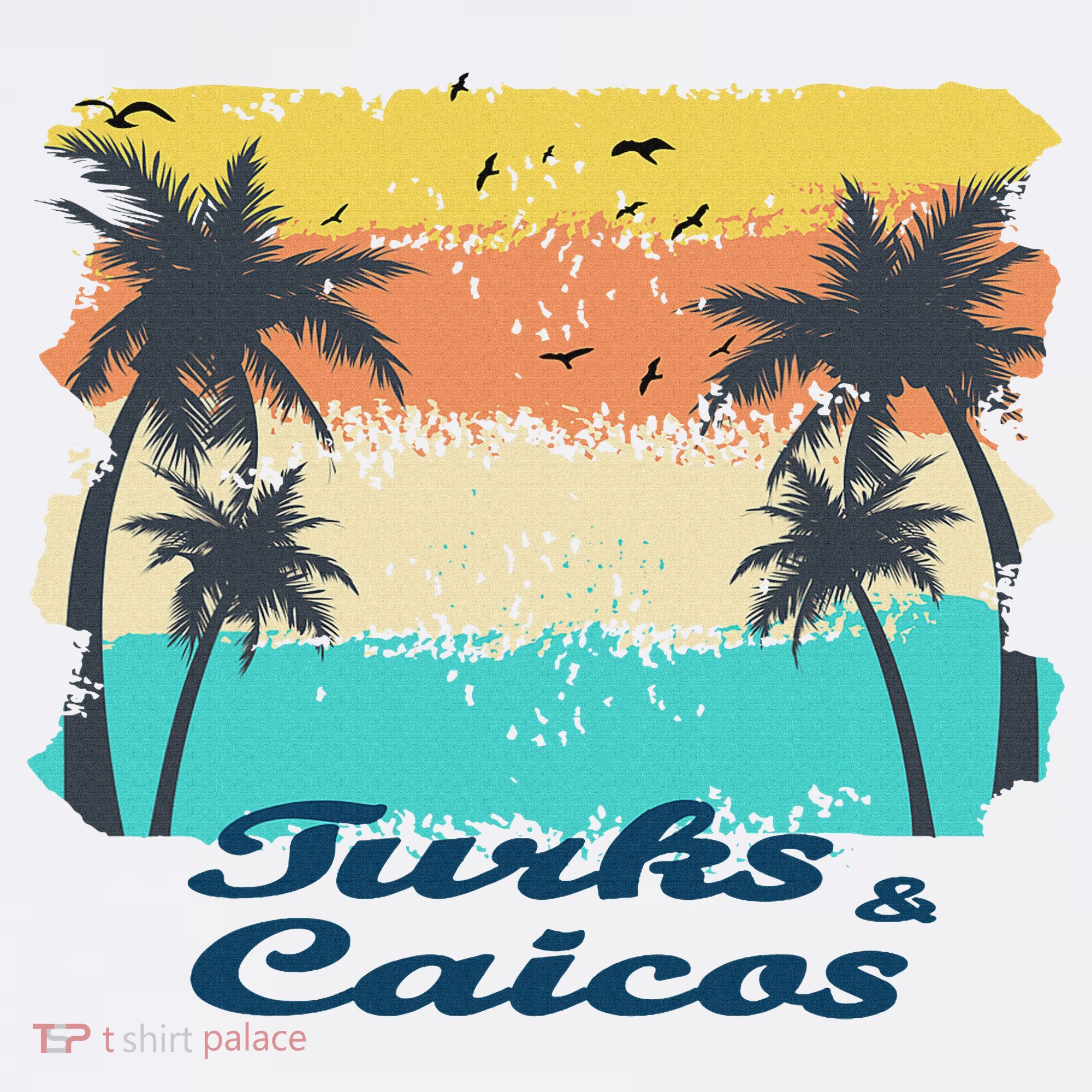 Turks And Caicos Palms Beach Caribbean Islands Souvenir Gift Women's Hoodie
