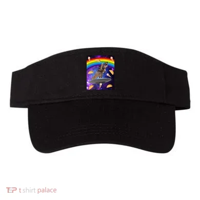 Visor