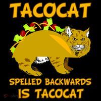 Tacocat Spelled Backwards Funny Cat Tote Bag thumb 4