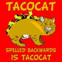 Tacocat Spelled Backwards Funny Cat Santa Hat thumb 1