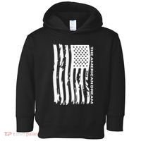 The American Dream Usa American Flag Patriotic Apparel Toddler Hoodie thumb 0