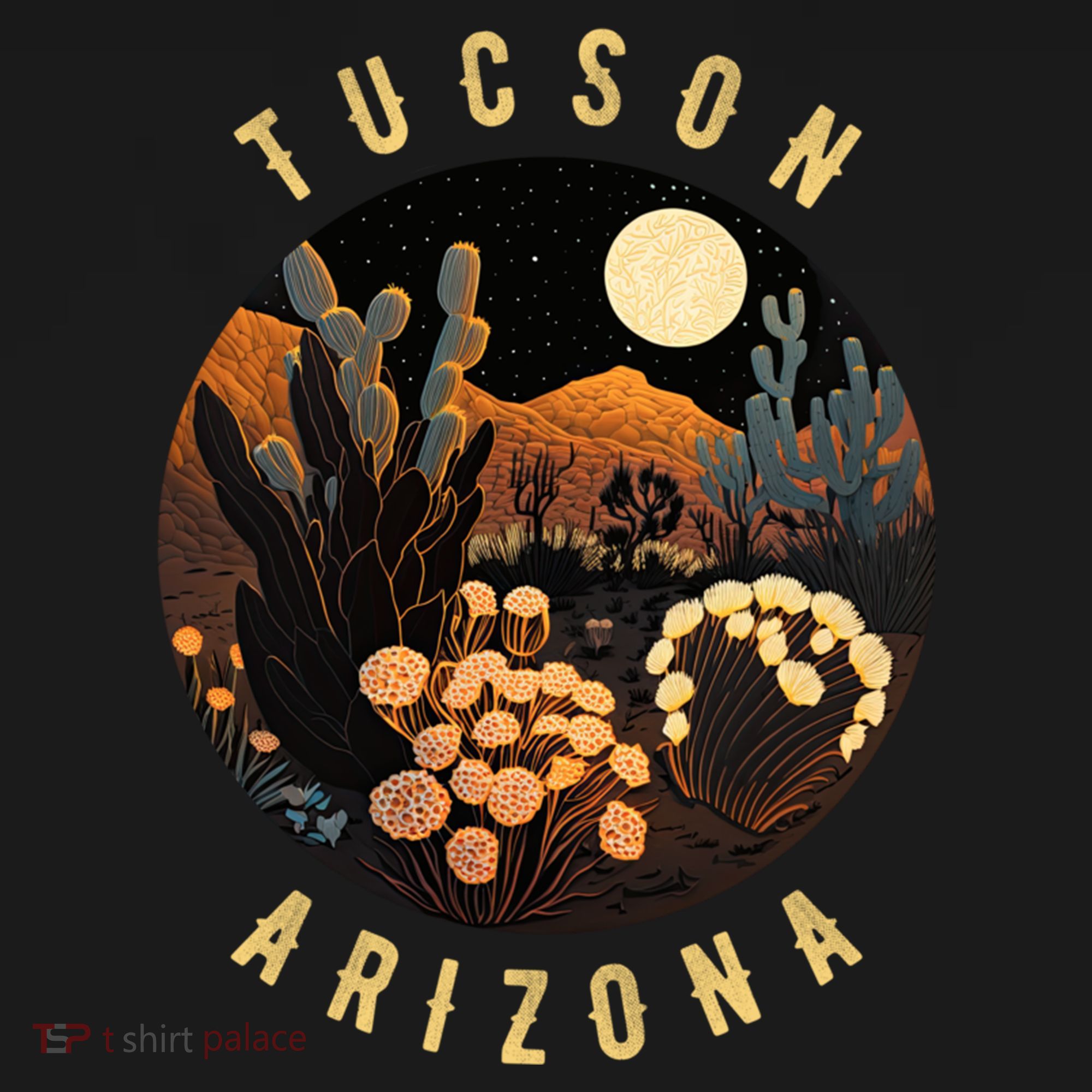Tucson Arizona Desert At Night Painting Gift Women's Hoodie