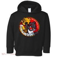 Taiwan Air Force Badge Taiwan Flag Toddler Hoodie thumb 0