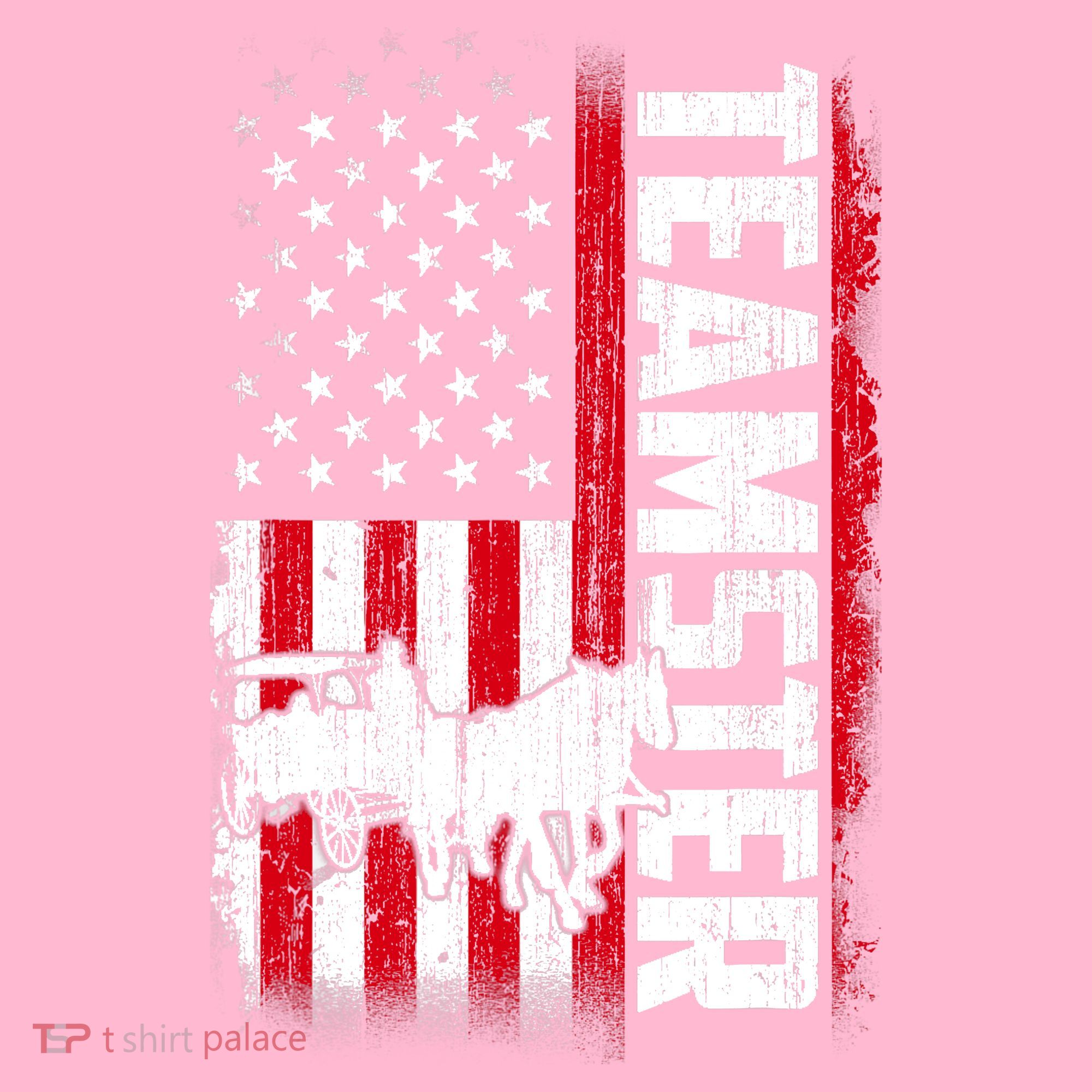 Teamster American Flag Funny Quotes Sayings Coaster