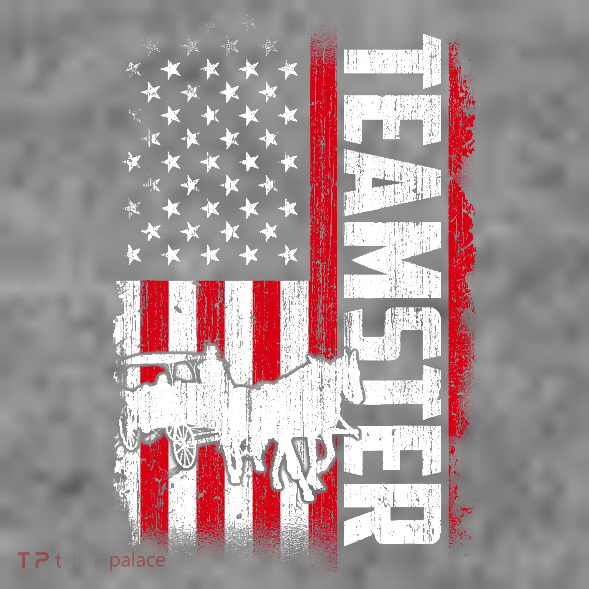 Teamster American Flag Funny Quotes Sayings Toddler Hoodie