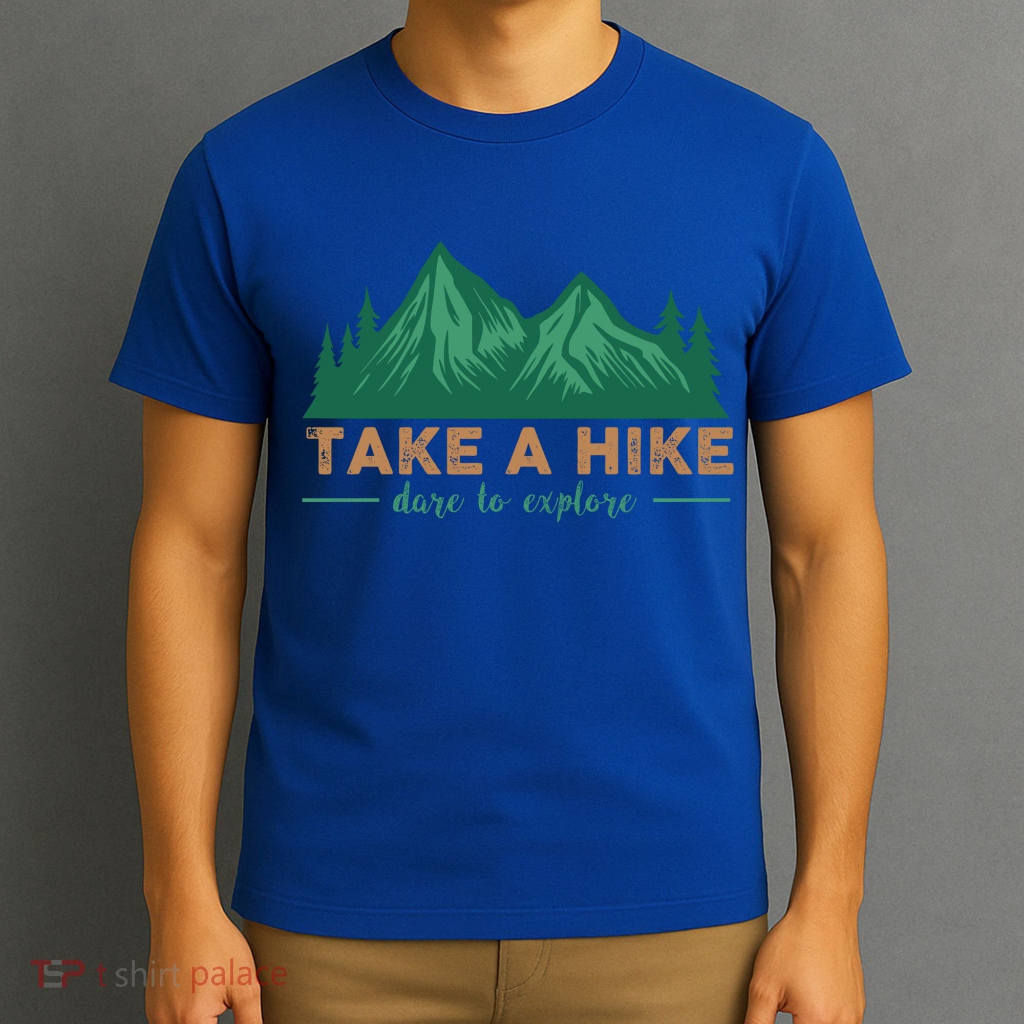 Take A Hike Funny Gift Mountain Adventure Camping Outdoor Retro Gift T-Shirt