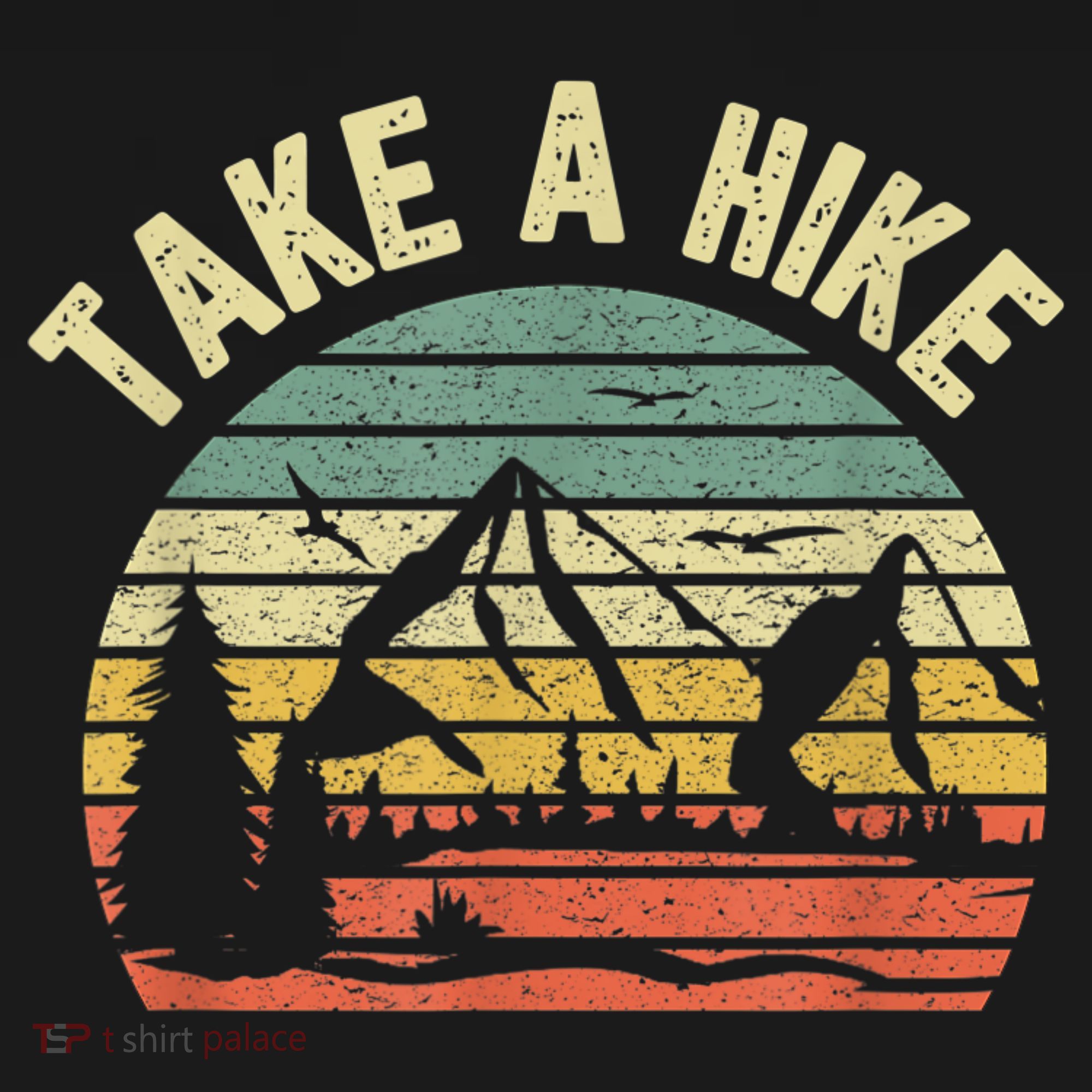 Take A Hike Retro Hiker Outdoors Camping Nature Hiking Women's Hoodie