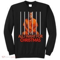 Trump All I Want For Christmas Prison Sweatshirt thumb 0